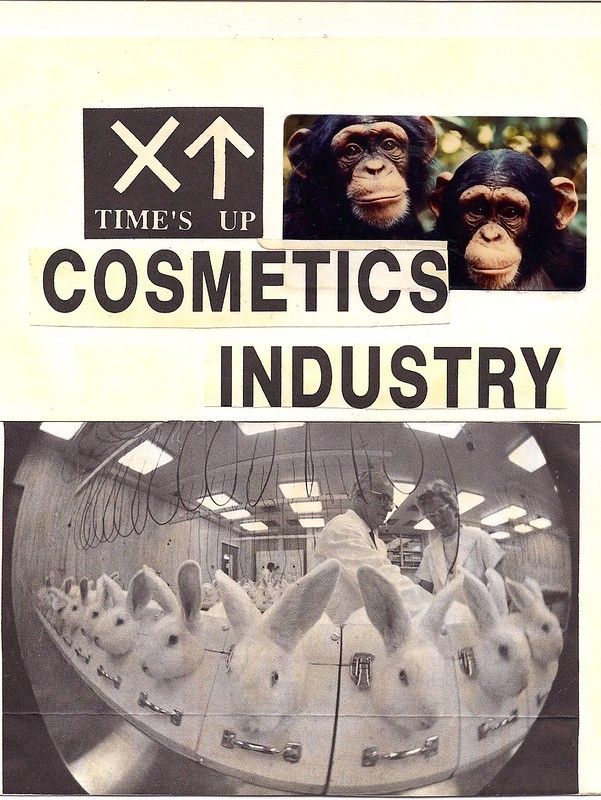 Animal Testing For Beauty Products – Capital Letters
